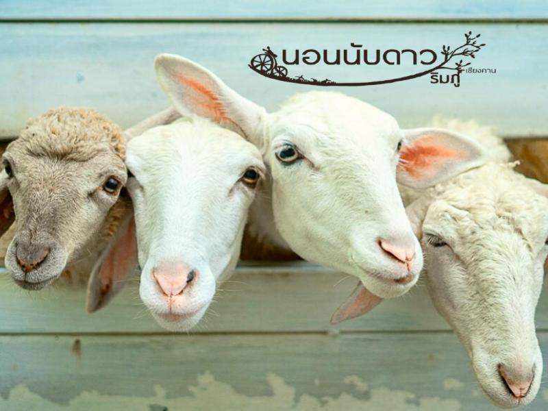 Norn Nab Dao Rimphu Resort Chiang Khan Εξωτερικό φωτογραφία